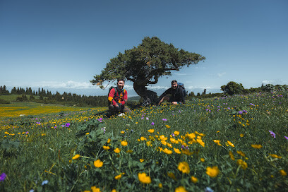 Visit Karakol
