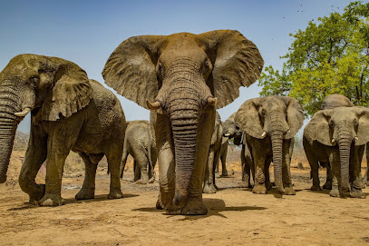 Zakouma National Park