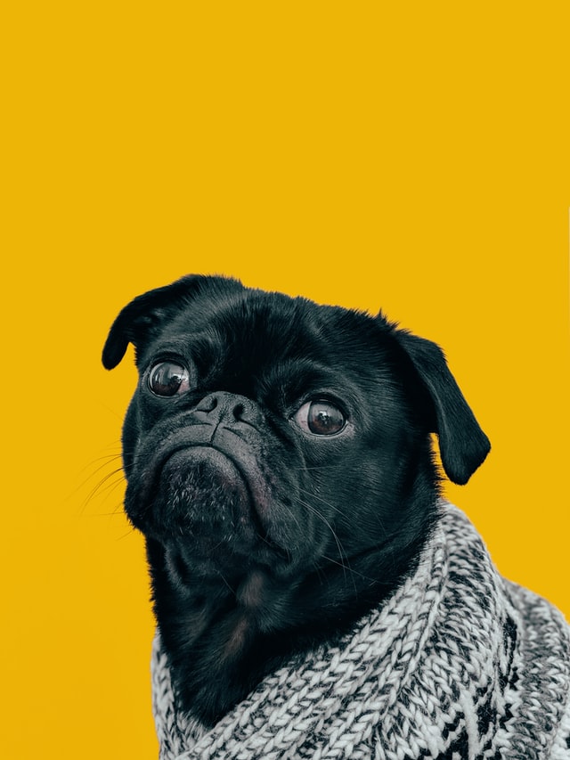 SnapApp&trade;