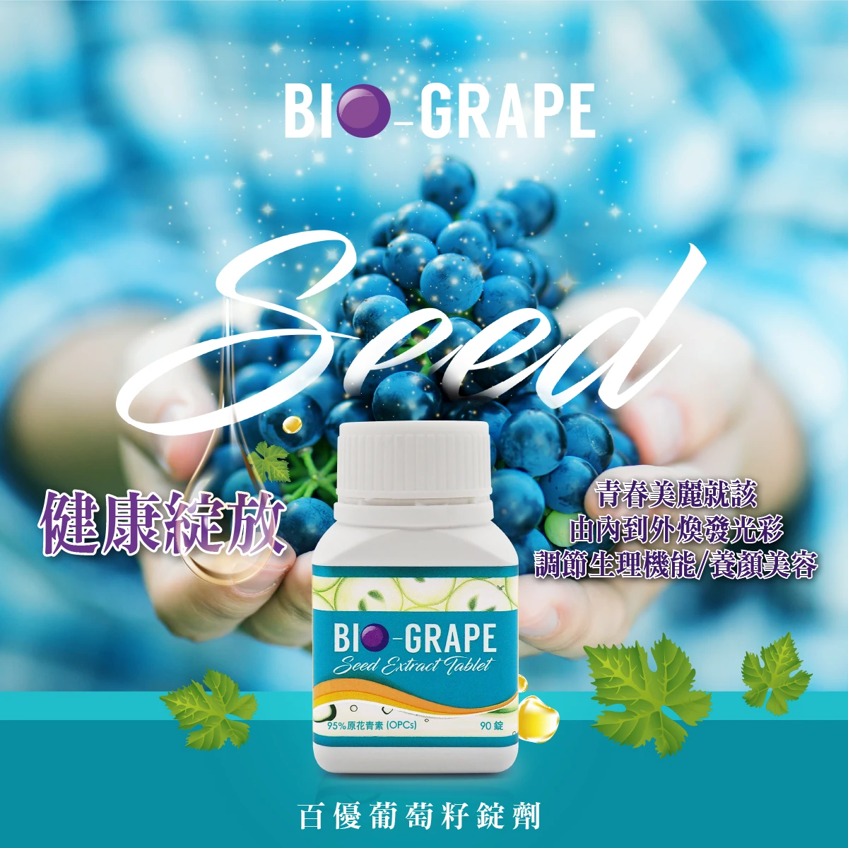 Bio Bio Grape BIO-GRAPE SEED 百優葡萄籽 (90錠) 濃縮葡萄籽營養精華—95% 原花青素