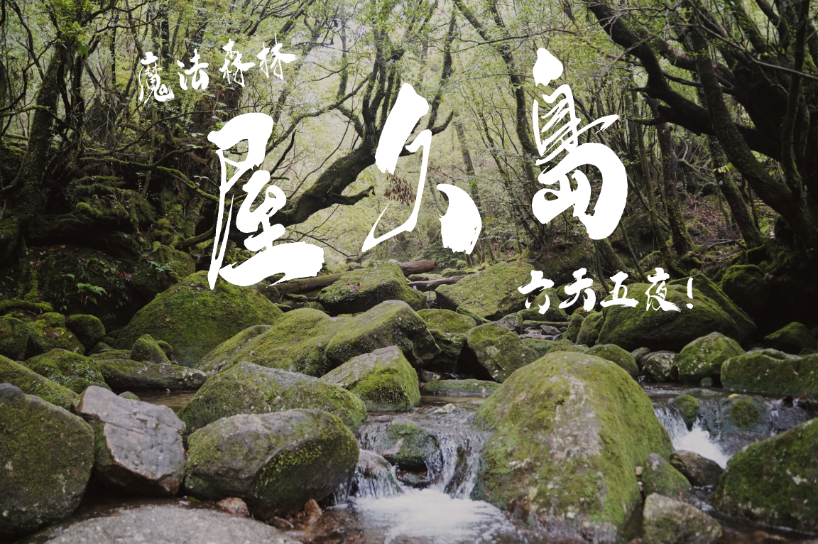 宮崎駿,苔蘚,世界遺產》屋久島健行Ｘ日本最南端百名山六天五夜荒野旅人 