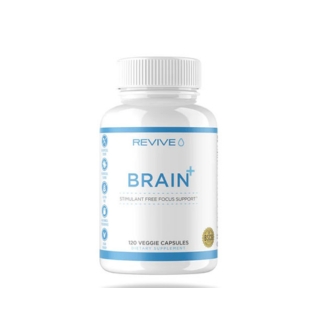 Brain Support