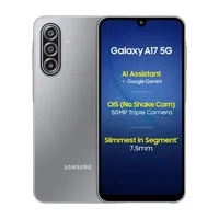 Samsung Galaxy A17 5G (Gray, 256 GB)