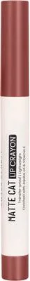 SWISS BEAUTY Non Transfer Matte Lip Crayon Water Resistant Longlasting Retractable