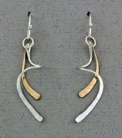 Peter James Earrings - 2024CO