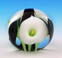 Scott Bayless - Mini Paperweight - White Calla Lily
