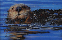 Karen Neely Original: BB115 Otter