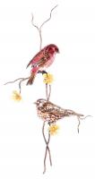 Bovano - W4463 - Purple Finch pair