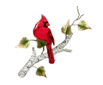 Bovano - W4176 - Male Cardinal on Birch Branch