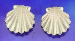 Steven Douglas - Scallop Shell Earrings SLE020