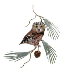 Bovano - W823 - Saw-whet Owl on Pine Sprig
