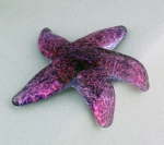 Gibbons - Crawling Starfish - Amethyst Rose