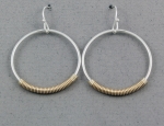 Peter James Earrings - 2998LCO