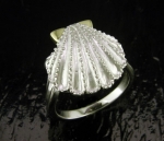 Steven Douglas - Scallop Shell Ring SGR310