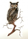 Bovano - W8091 - Great Horned Owl on Branch