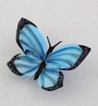 Loy Allen - Blue Morpho Butterfly