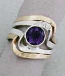 Peter James Ring - 1244CO Amethyst