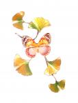 Bovano - W143 Forest Queen Butterfly on Enameled Ginko