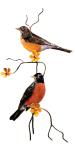 Bovano - W4465 - Robin pair