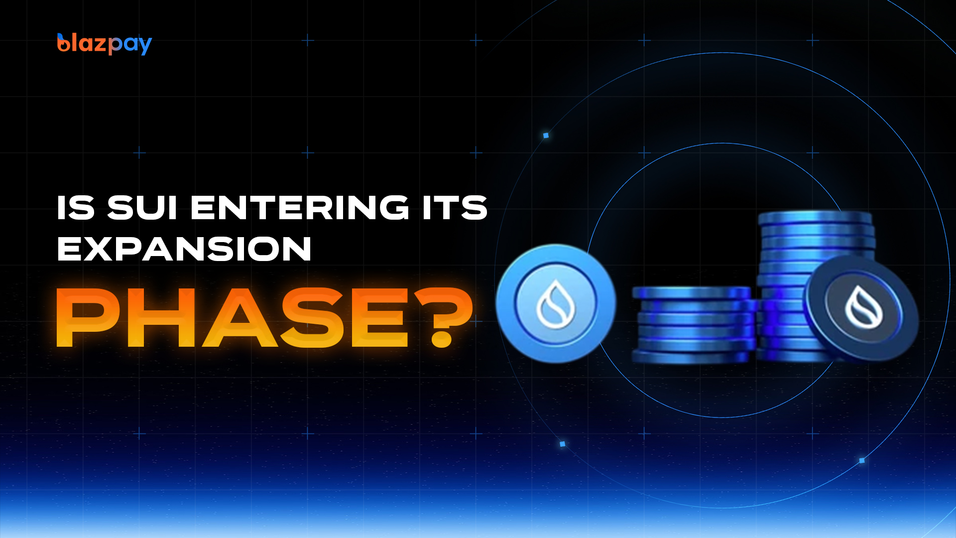 Sui Coin Price Prediction & 2030 Growth Outlook | Blazpay Blog