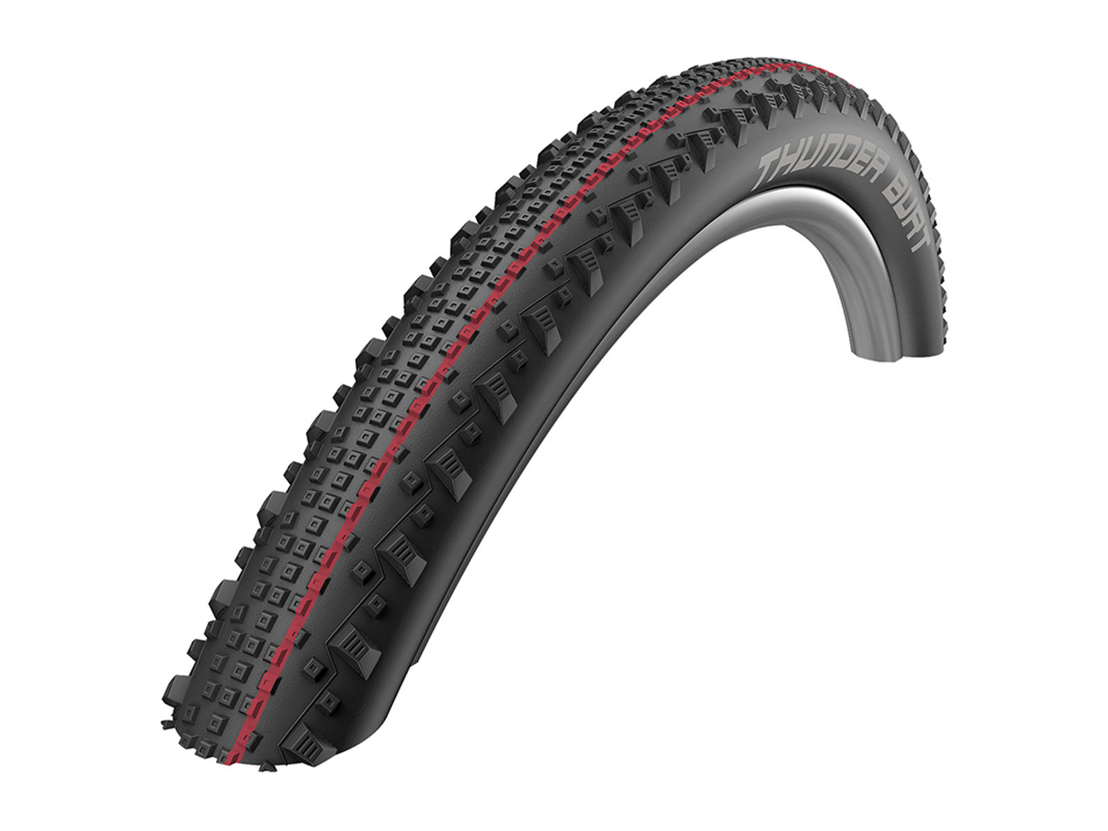 Schwalbe Thunder Burt 54-584