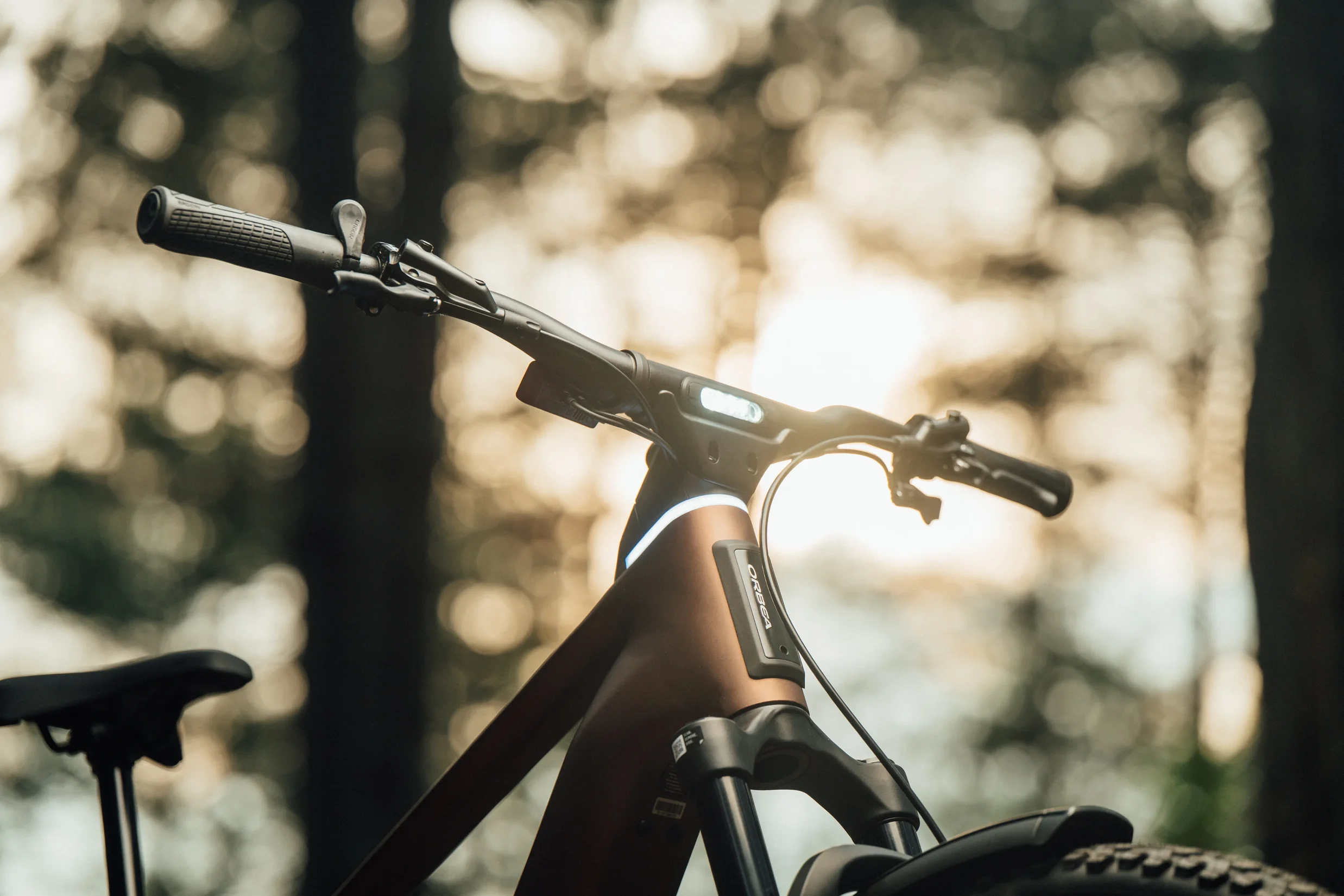 Orbea Muga 20