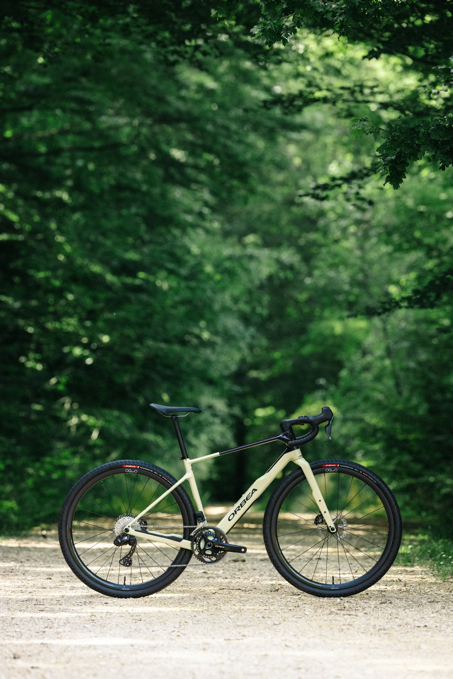 Orbea Terra M20i Team