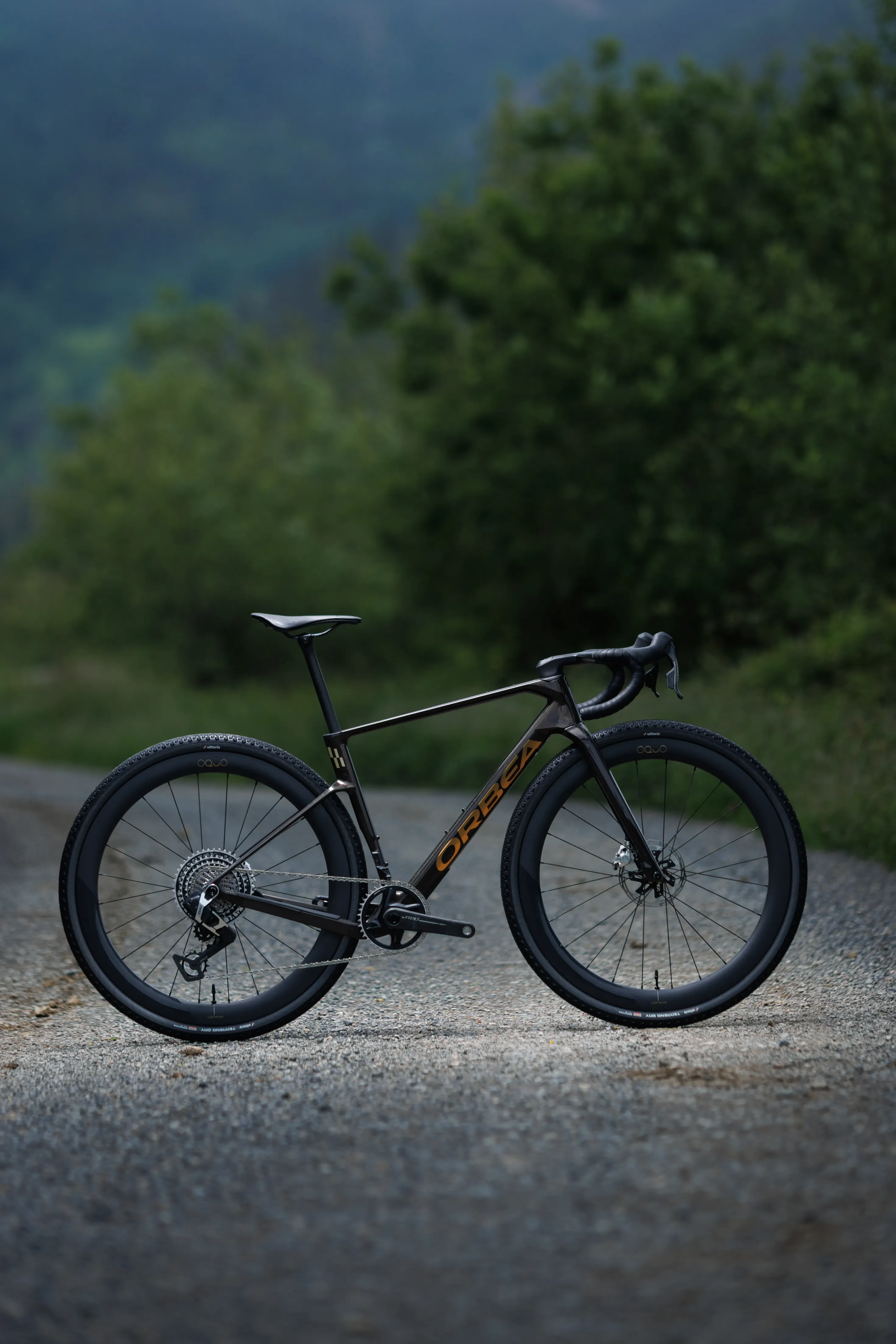 Orbea Terra Race M21eLTD 1X