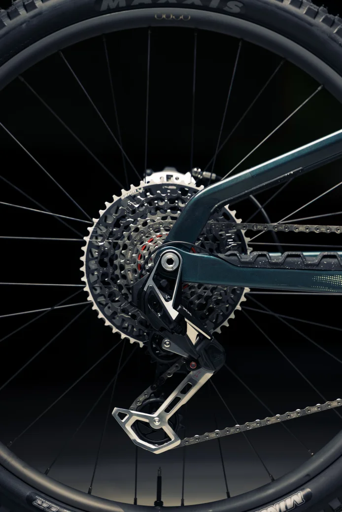 Orbea Wild LT M-LTD