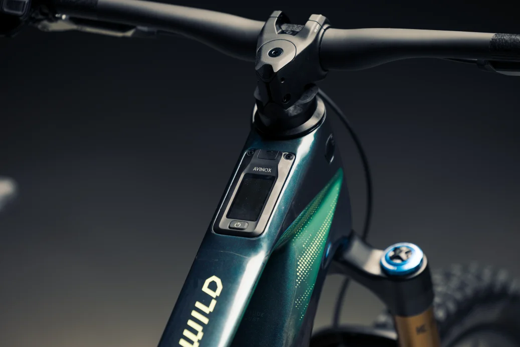 Orbea Wild LT M-LTD