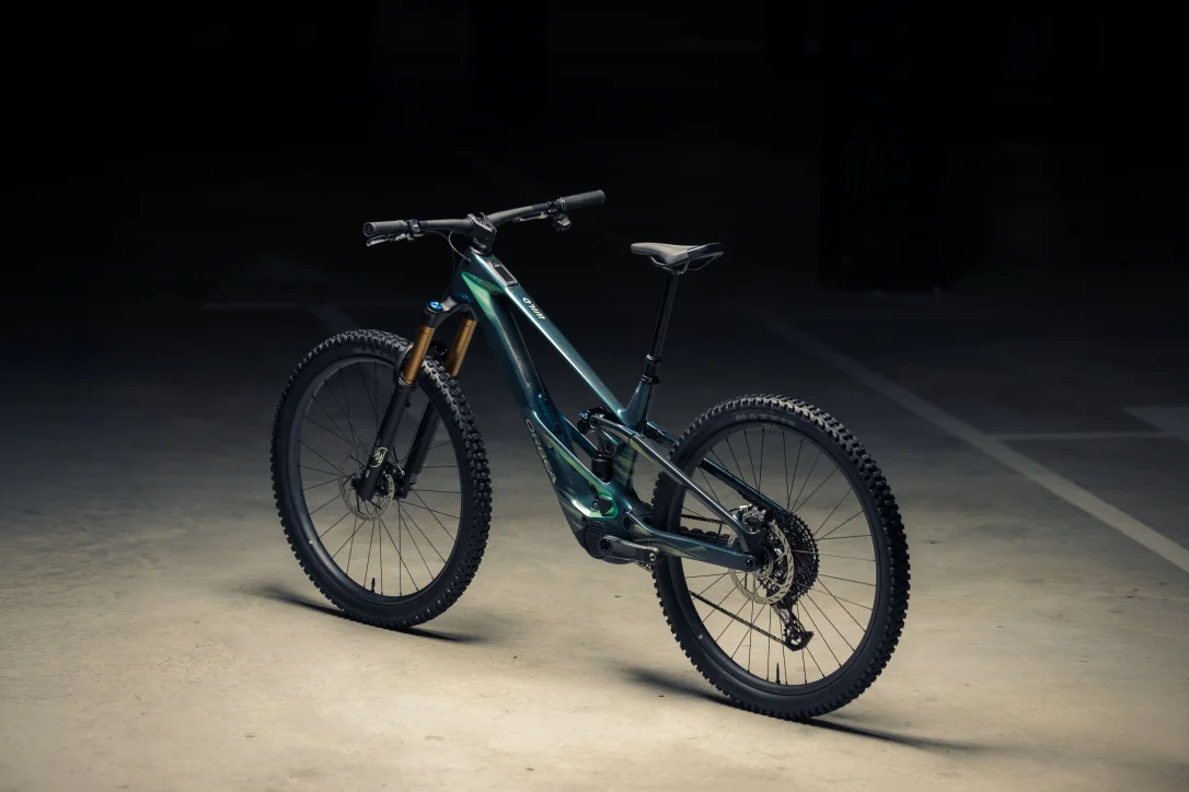 Orbea Wild LT M-LTD