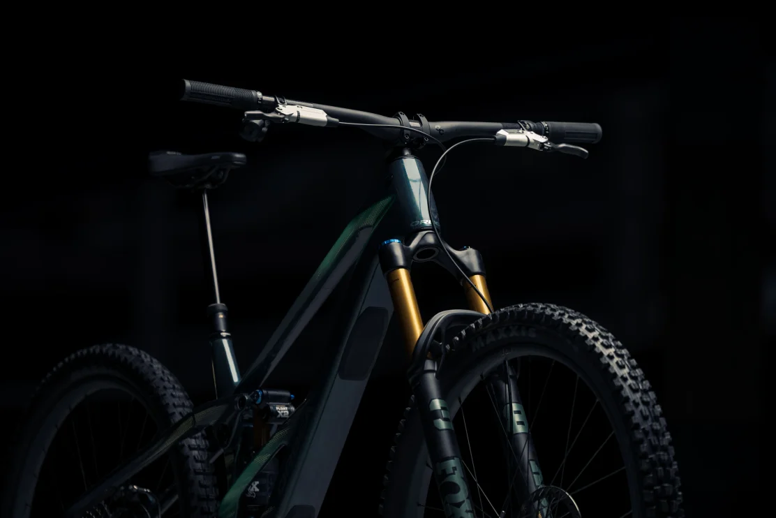 Orbea Wild LT M-LTD