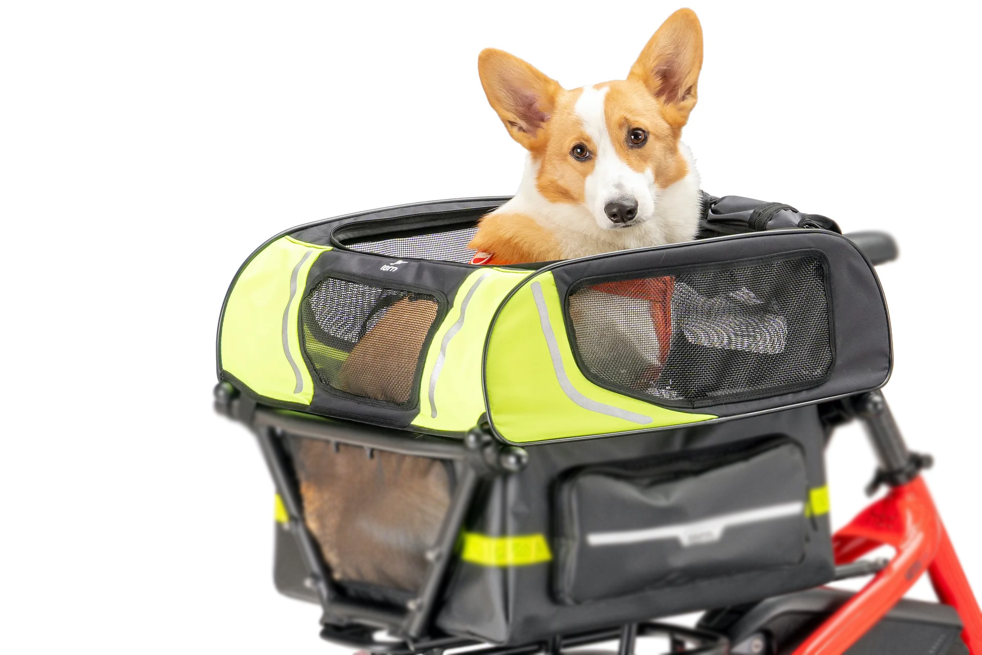 Tern Dog Roof Mini