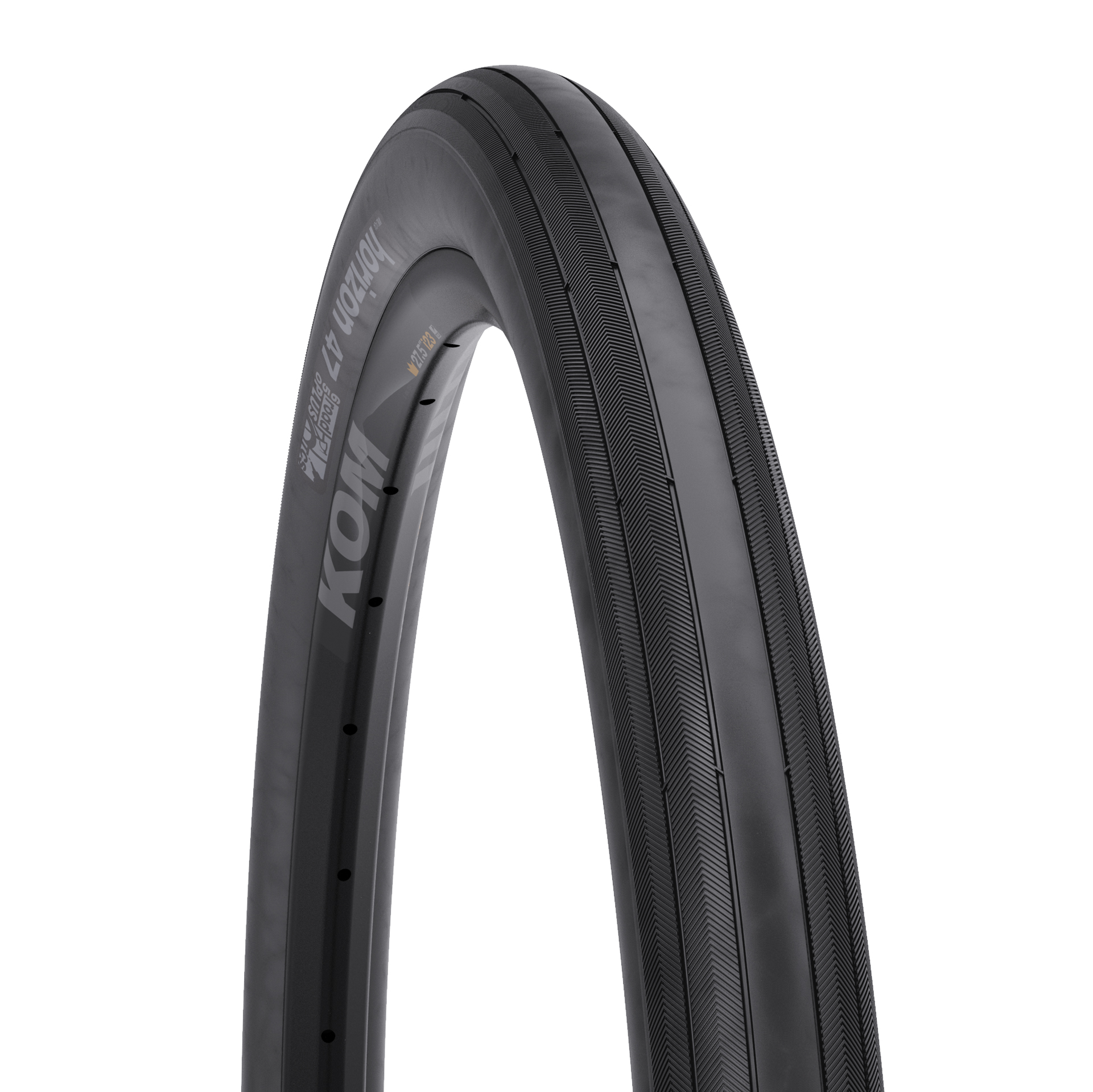 WTB Horizon 47-584 TCS TL LT/FR 120 D-DNA SG2