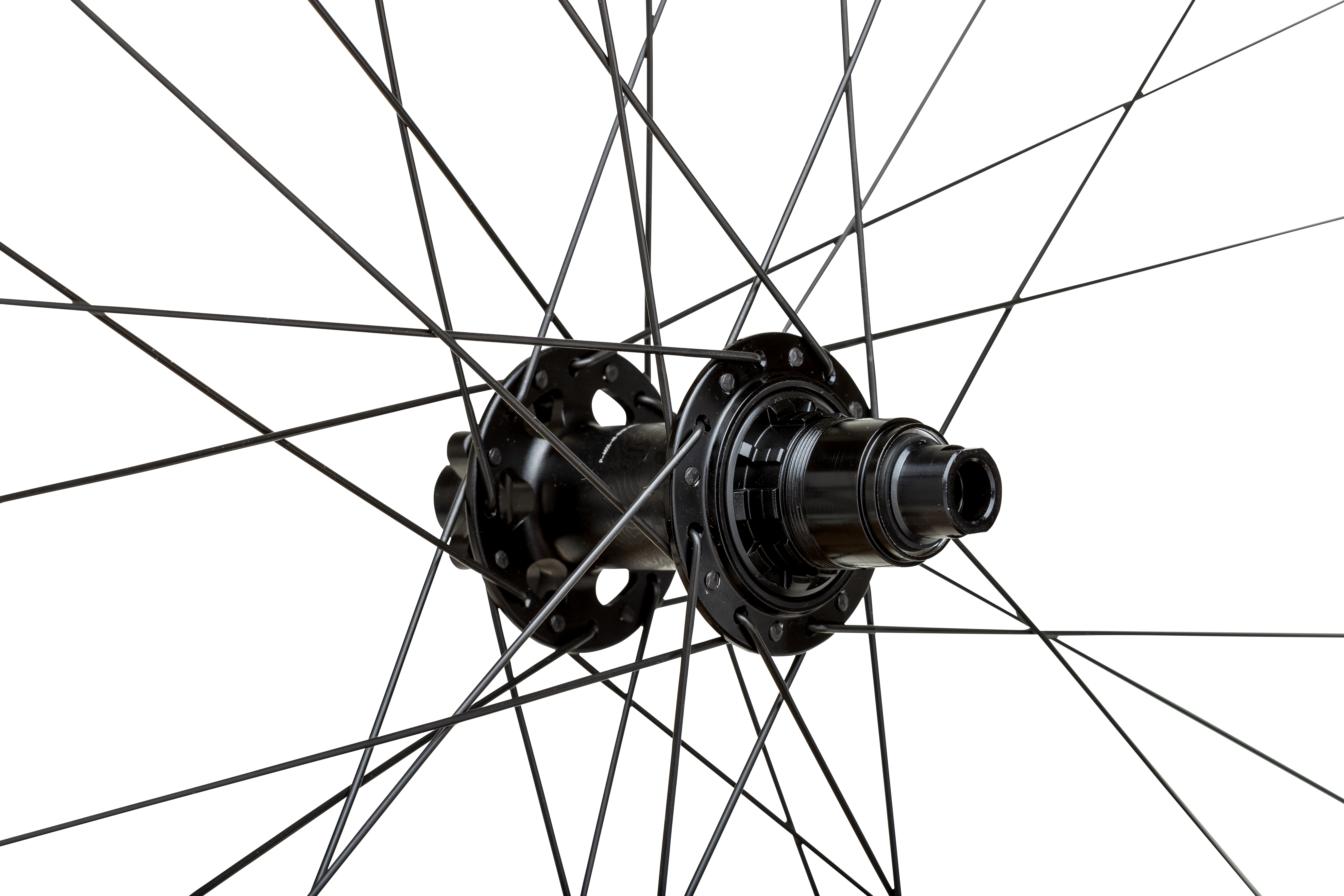 WTB SpeedTerra / ProTerra Freehub Kit XD