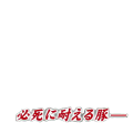 必死に耐える豚