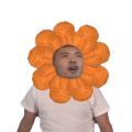 ココアライオン