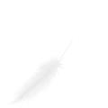 羽根