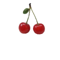 さくらんぼ