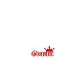ジェマ国民
