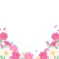 コスモス畑