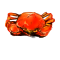 上海蟹