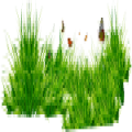 草