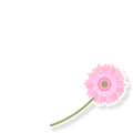 花は咲く