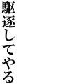 駆逐してやる