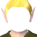 タマネギ