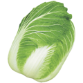 白菜