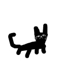 ネコ