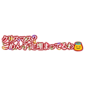 クリスマス（予定がある人向け）