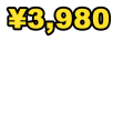 ¥3,980 フォント違い